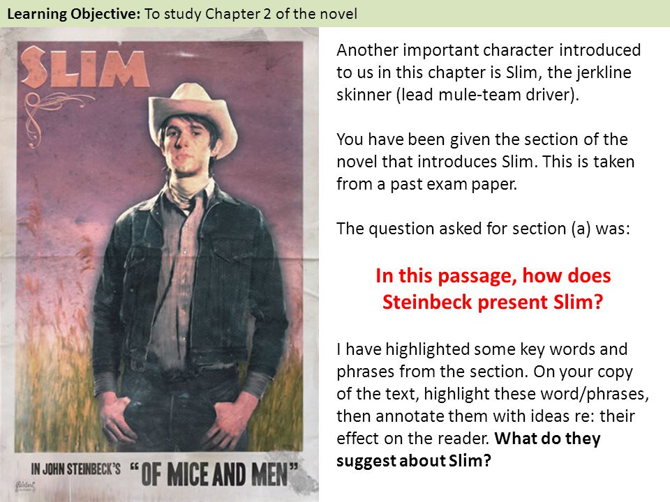 The Chariter of Slim in the Novel 'of Mice and Men' Essay